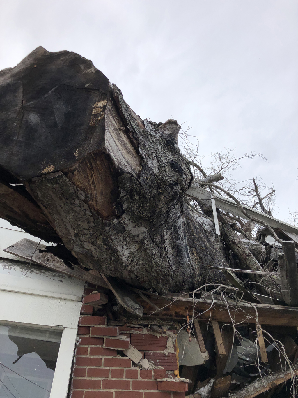 hurricane michael knocked a tree on a house roof